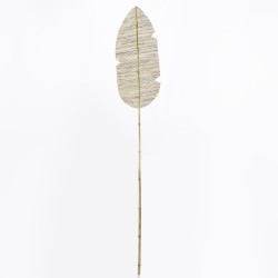FEUILLE DE BANANIER - 