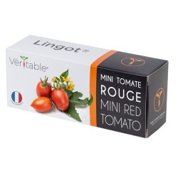 Lingot de mini tomate rouge