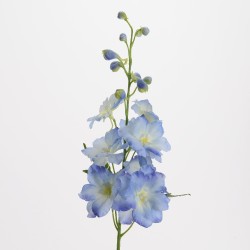 Tige de delphinium bleu...