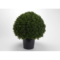 Buisson royal 36 cm