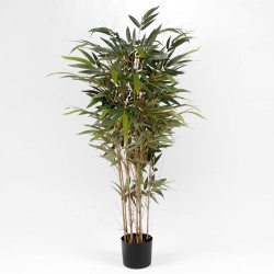 Bambou 150 cm 