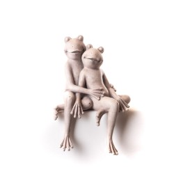 Grenouille en couple 