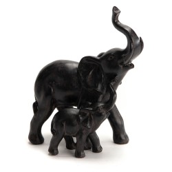 Maman et bébé éléphant 