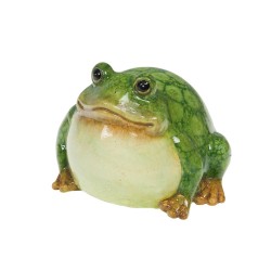 Grenouille Rainette