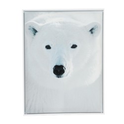 Toile ours polaire blanc...