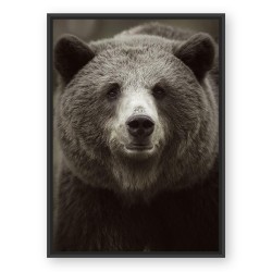Toile ours brun 80x120 cm