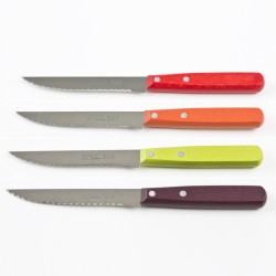 Couteau à steak bois coloré