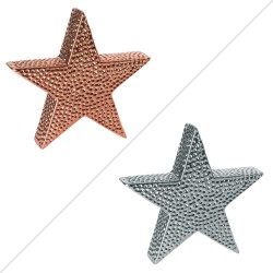 étoile décorative 20 cm (1...